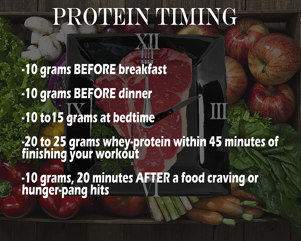 Protein Timing_FITNESS.png